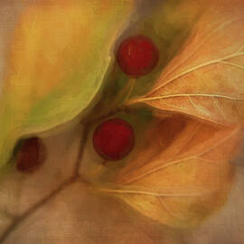 Autumn Leaves and Berries by Terry Davis
