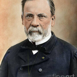 LOUIS PASTEUR by Granger