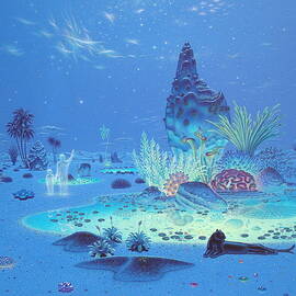 Oasis by Tuco Amalfi