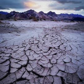 Only in Death Valley 2 by Alinna Lee