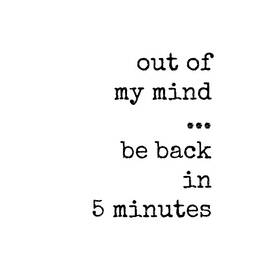 Out of My Mind Be Back In 5 Minutes by Diane Palmer