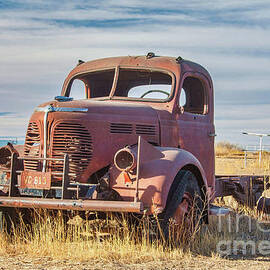 Out To Pasture by Tony Baca