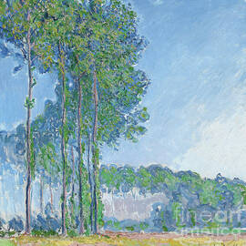 Poplars by Claude Monet, 1891 by Claude Monet