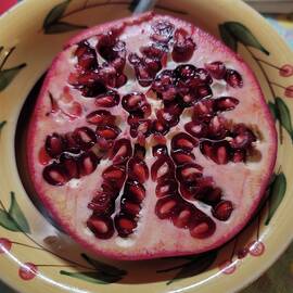 Red Pomegranates by Charlotte Gray