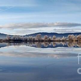 River Suir reflections by Joe Cashin