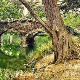Rustic Bridge at Stow Lake in Golden Gate Park in San Francisco by Jim Fitzpatrick
