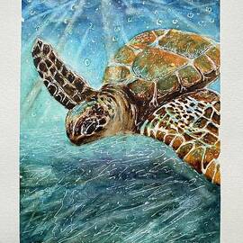 Sea turtle  by Sharron Knight