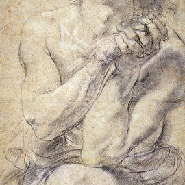 Seated Male Youth Study for Daniel by Peter Paul Rubens