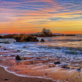 Shell Beach by Beth Sargent