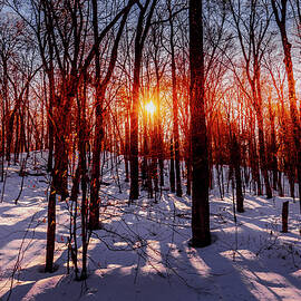 Snowy Sunset by David Patterson
