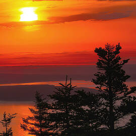 Sunrise From Cadillac Mountain by Stephen Vecchiotti