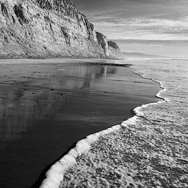 Torrey Pines Shoreline