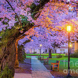 UW Quad twilight by Inge Johnsson