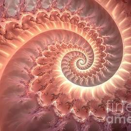 whimsical and nostalgic calming coral nautilus spiral fractal background soft dreamy faded orange pink abstract conic shell pattern by N Akkash