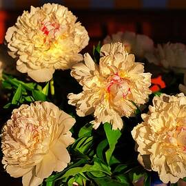 White Peonies Bouquet