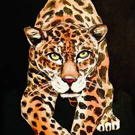 Wild cat by Lana Sylber
