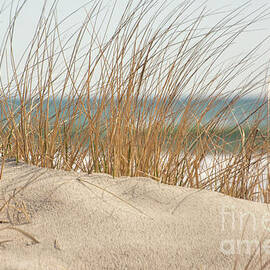 Windy Sea Grass by Ruth H Curtis