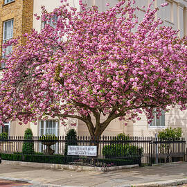 York Terrace West by Raymond Hill