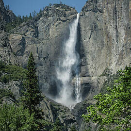 Yosemite Falls by Webb Canepa