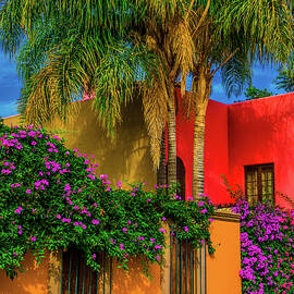 Colorful architecture on the streets of San Miguel de Allende Mexico by Daniel Richards