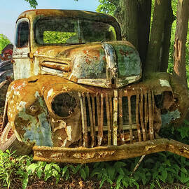 Broken Bent and Battered 1946 Ford Pickup -  46fordpickuptrk072721 by Judy Duncan