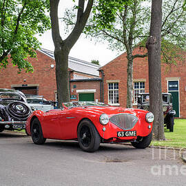 1955 Austin Healey by Tim Gainey