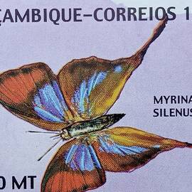 1999 Butterfly Stamp, Mozambique by Jafeth Moiane