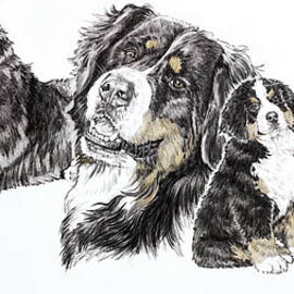 Bernese Mountain Dog Family  by Barbara Keith