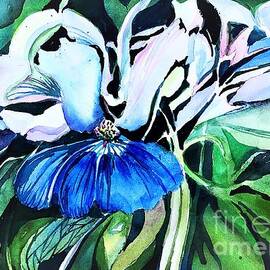 Ohio Blue Eyed Mary by Mindy Newman