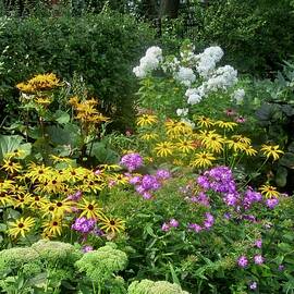 Colourful Garden by Stephanie Moore