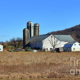 Countryside by Atiqur Rahman