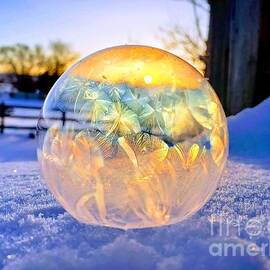 Frozen Bubble 7 by Tanya Stafford