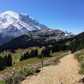 Mount Rainier