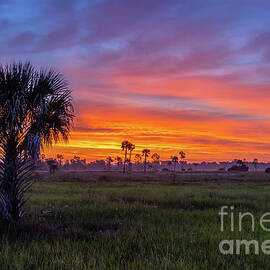 Multi-Colored Sunrise by Tom Claud