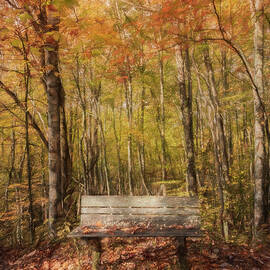 Old Bench in the Fallen Leaves Creeper Trail in Autumn Fall Colo by Debra and Dave Vanderlaan