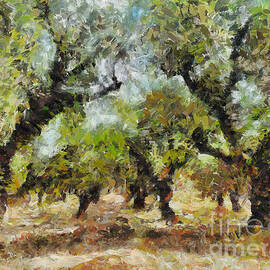Olive grove by Dragica Micki Fortuna