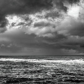 Oregon Coast Black and White by Gerald Mettler