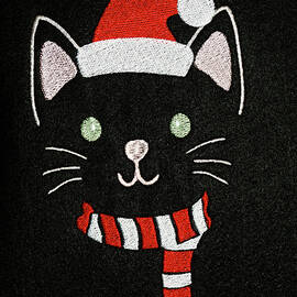 Santa Cat by Sally Weigand