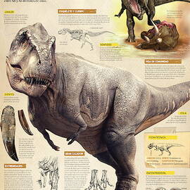 Tyrannosaurus rex by Album