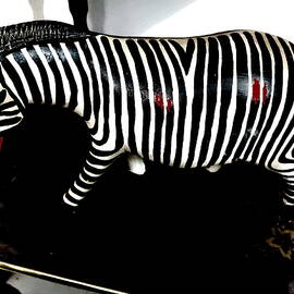 Zebra by Anand Swaroop Manchiraju