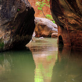Zion by Wasatch Light