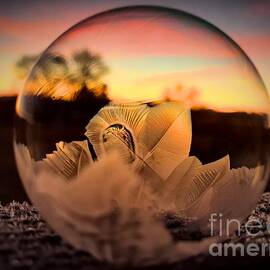 Frozen Bubble 6 by Tanya Stafford