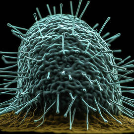 Imaginary electron microscope image of bacteriophage virus  on   by Steve Estvanik
