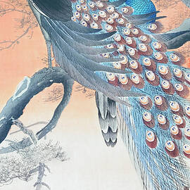 Two peacocks on tree branch by Ohara Koson  by Mango Art
