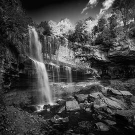Webster's Falls by David Hook