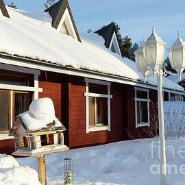 -30 C by Eva Lechner