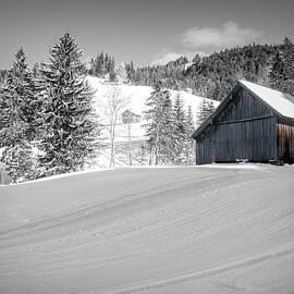 Winter Barn Majesty by Norma Brandsberg