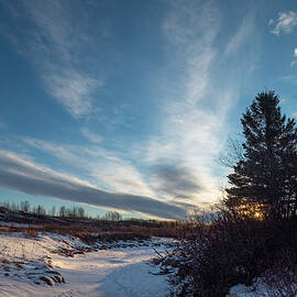 Alberta winter dawn by Karen Rispin