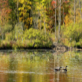 Monet's Autumn by Sue Cullumber