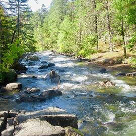 Rushing River by Stephanie Moore